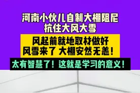 3月3日 河南 河南小伙儿自制大棚阻尼 抗住大风大雪 风起前就地取材做好风雪来了 大棚安然无恙！太有智慧了！这就是学习的意义！@神农小馆视频封面