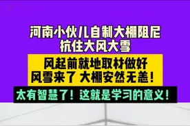 3月3日 河南 河南小伙儿自制大棚阻尼 抗住大风大雪 风起前就地取材做好风雪来了 大棚安然无恙！太有智慧了！这就是学习的意义！@神农小馆视频封面