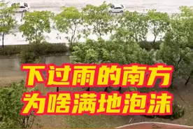 #近期南方街道积水为何满是泡沫   近日，我国华南地区受台风侵袭，接连暴雨。有人注意到雨后道路积水产生白色泡沫，看上去像洗衣液漏了。其实，这是因为我国南方林荫道常见树种中的无患子树被台风吹断后，大量无患子落入地面，无患子的果皮中含有天然的皂苷，落在地上被车碾碎后，再遇到积水就会产生泡沫。#上海暴雨视频封面