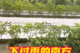 #近期南方街道积水为何满是泡沫   近日，我国华南地区受台风侵袭，接连暴雨。有人注意到雨后道路积水产生白色泡沫，看上去像洗衣液漏了。其实，这是因为我国南方林荫道常见树种中的无患子树被台风吹断后，大量无患子落入地面，无患子的果皮中含有天然的皂苷，落在地上被车碾碎后，再遇到积水就会产生泡沫。#上海暴雨