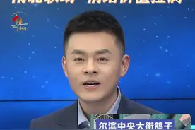 “尔滨”的“鸽猪”上热搜？南北联动，情绪价值拉满→ “尔滨”火到鸽子也上热搜！哈尔滨中央大街的鸽子被热情的游客喂成“鸽猪”？“投桃报李”的南北联动为何让网友大呼羡慕？戳视频，看育见新闻主播怎么说→视频封面