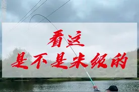 看这  是不是米级的 #钓鱼的乐趣只有钓鱼人懂 #原来钓鱼才是抖音运动顶流