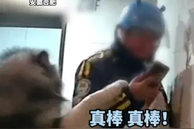 主人不在家 狗子自己开门迎接外卖员，小哥一边害怕一边夸“哎呀  真棒”，网友：有礼貌的狗子 还要下去“送送”外卖员视频封面