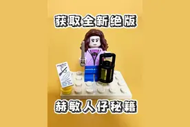 乐高哈利波特捡漏秘籍：停产套装海格小屋全新赫敏人仔获取办法 #乐高 #乐高哈利波特 #乐高人仔 #乐高霍格沃茨大冒险 #积木