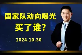 国家队动向曝光买了谁？ #财经 #投资 #股票 #机构重仓 #中央汇金视频封面