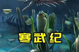 5亿年前的寒武纪临沂动物群问世！最大的三角龙竟是被偷袭致死？