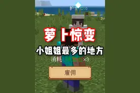 《惊变100天》都说了很多遍啦！装备不好不要来大都会探险！ #我的世界 #惊变 #游戏