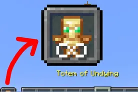 当所有物品都是不死图腾？无限使用还会嗝屁吗!我的世界