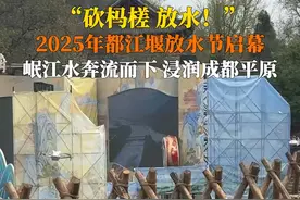 4月4日清明节，#2025都江堰放水节 启幕。主祭官一声令下，岷江水瞬时流向成都平原，一江春水，浸润千古。#巴蜀好春光