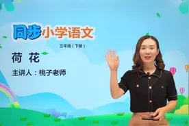 三年级下册人教版语文第一单元3.2荷花#语文#阅读 #小学视频封面