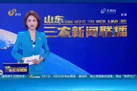 【省媒看茌平】茌平：发展农村跨境电商  实现外贸加速跑#乡村振业振兴视频封面