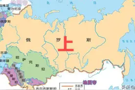大鹅的现状 全面分析大鹅如今的处境#观天下视频封面