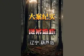 辽宁葫芦岛：身高1.5米女人和身高近2米男人的较量#真实事件视频封面