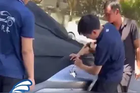 杭州一新能源汽车起火，汽车品牌方到达现场拆除车标，极狐汽车：将加强内部管理和培训视频封面