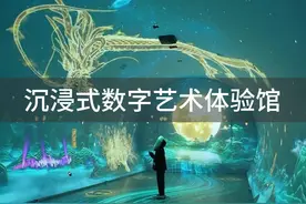 行业案例 | 沉浸式数字艺术体验馆 #数字馆 #数字化展馆视频封面