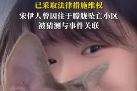 演员宋伊人委托律师发文：部分用户肆意辱骂甚至造黄谣，已采取法律措施维权#宋伊人 #于朦胧 #维权