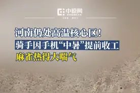 今明两天，北方首轮大范围高温天气持续肆虐，河南、河北成为核心"炙烤区"。截至19日，河南111个高温预警高悬，林州以36.2℃登顶全国高温榜首，郑州更是出现42℃极端高温，国家气象站录得41℃创5月历史极值。烈日炙烤下，麻雀躲墙根喘气、外卖骑手手机烫到罢工、市民纷纷晒"爆表"截图，多地进入"烧烤模式"。气象部门紧急提醒公众减少户外活动，谨防热射病侵袭。视频封面