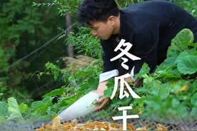 趁着天气好晒一些冬瓜干，既好吃又方便保存，到冬天拿出来炖肉，又是一道美味#新农人计划2024 #农村美食 #家乡的味道 #冬瓜干 #我的乡村生活视频封面