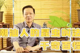 各种昆虫在潮汕的叫法你听过多少？ #潮汕 #潮汕话 #昆虫 #涨知识视频封面