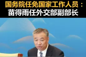 国务院任免国家工作人员：苗得雨任外交部副部长