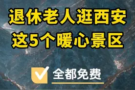 西安对老年人免费景区，赶紧来看~ 退休人士福利! 西安免费景点清单，65周岁以上老人免门票! #西安免费景点推荐 #大唐芙蓉园 #吃喝玩乐报告  #退休 #退休大爷的快乐生活 @抖音创作者大会 @抖音创作者中心 @DOU+上热门视频封面