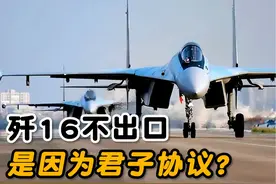 歼16不出口，是因为当年和俄罗斯的“君子协议”？#俄罗斯 #歼16视频封面
