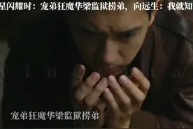 群星闪耀时：宠弟狂魔华梁监狱捞弟，向远生：我就知道哥会来救我视频封面