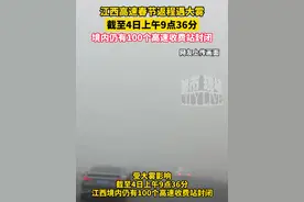 江西高速春节返程遇大雾，截至4日上午9点36分，境内仍有100个高速收费站封闭#江西dou知道 #春运 #返程高峰