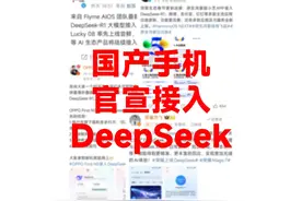 国产手机纷纷宣布接入DeepSeek，AI时代来了！ #DeepSeek视频封面