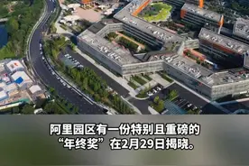 这份“年终奖”和奖金无关，阿里巴巴公益榜出炉！ #第八届阿里巴巴公益榜视频封面