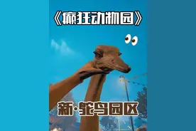 【癫狂动物园】鸵鸟来了！ #游戏 #steam游戏 #癫狂动物园