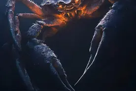 山海经海内北经（三） 巨型物种再现，版图涵盖了朝鲜及日本等地
#山海经 #山海经全书详解 #神话故事视频封面