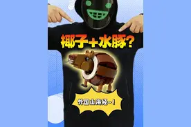 拼外国山海经！椰子+豚鼠是什么鬼？ #外国山海经 #万物皆可乐高 #积木搭建 #跟馆长一起玩 #内容启发搜索