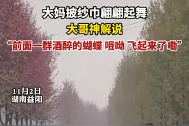 11月2日，湖南益阳。#大妈披纱巾翩翩起舞大哥神解说 ：“前面一群酒醉的蝴蝶，哦呦，飞起来了嘞。”#广场舞 视频封面