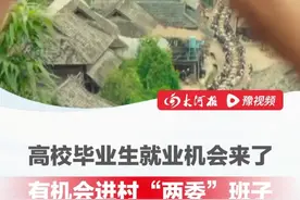 错过再等一年，23届—25届高校毕业生就业机会来了！河南省首次大规模面向社会公开招用乡村振兴村级协理员5000名，月薪3500元，有机会进村“两委”班子！#河南 #就业 #乡村振兴dou行动