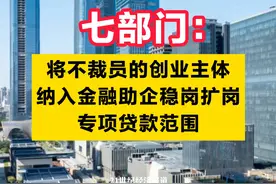 七部门：将不裁员的创业主体，纳入金融助企稳岗扩岗专项贷款范围 #七部门  #创业  #就业  #高校毕业生视频封面