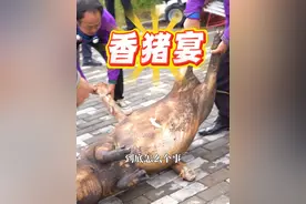 大口吃肉！7月24日，凉山昭觉火普村火把节正热闹，淳朴好客的村民拉着记者一起吃喷香的“揭锅菜”，拳头大小的坨坨肉，满是彝族老乡们的热情与豪爽！#2025火把节