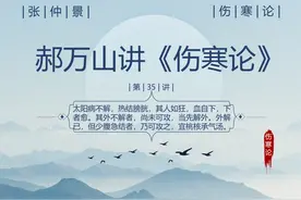 学习中医 国医大师郝万山讲《伤寒论》第35讲：桃核承气汤