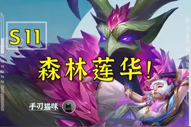 森林莲华——9局7鸡，颠覆级理解或将横扫全分段对局！ #云顶之弈视频封面