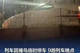 列车因撞鸟临时停车 9趟列车晚点，铁路南京站致歉 1月18日上午，铁路南京站发布“关于D3014次列车撞鸟临时停车的情况说明”：1月17日20时05分左右，上海虹桥至汉口站的D3014次列车运行到紫金山东站至南京南站区间时，因撞鸟临时停车。现场检查发现，该趟列车车体附着鸟类羽毛，不影响列车继续行车。20时28分，D3014次列车恢复正常运行，受此影响，共有9趟列车出现20分钟左右不同程度晚点。由此给旅客出行带来不便，铁路部门深表歉意。#铁路南京站致歉（@铁路南京站 ）视频封面