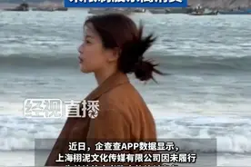 杨超越持股公司被限制高消费，律师表示，判决书仅针对公司及法人视频封面