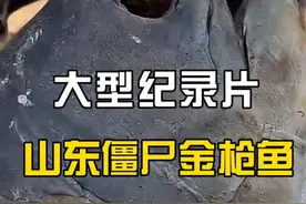 山东大集金枪鱼传奇！一鱼传三代，人走鱼还在！ #山东大集