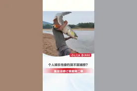 个人娱乐性垂钓算不算捕捞？#渔业法修订草案将二审 ，拟明确禁止违规垂钓并规定相应法律责任#大河深一度 #钓鱼视频封面