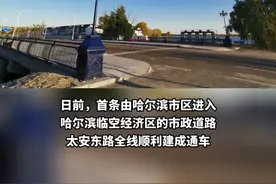 #哈尔滨临空经济区太安东路全线通车  #黑龙江dou知道 视频封面