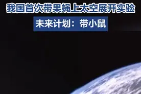 #我国首次带果蝇上太空开展实验 ，外来计划：带小鼠。#神舟十九号视频封面
