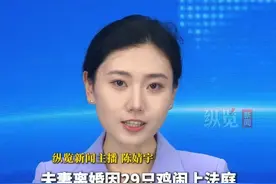 四川一对夫妻离婚因29只鸡闹上法庭。