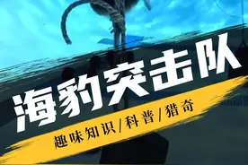 海豹突击队高强度日常训练 #科普 #海豹突击队 #潜水视频封面