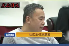 社区主任涉黑案，非法敛财6000多万，劣迹斑斑难逃处罚视频封面