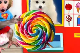 有趣的小猴子：友情甜过糖小猴小狗共享超级无敌棒棒糖？ #小猴子视频封面