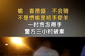 偷“喜德盛”不会骑 不是惯偷是顺手牵羊 一时贪念得手 警方三小时破案！（记者：田阳）#北京dou知道 #顺手牵羊视频封面
